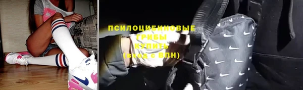Альфа ПВП Армянск