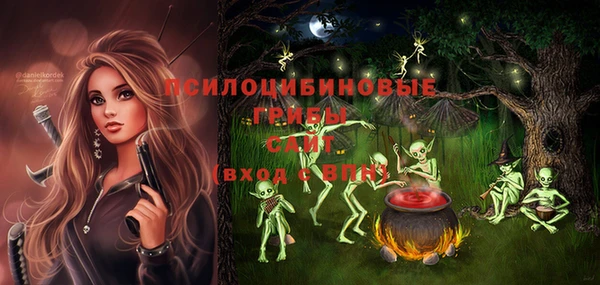 Альфа ПВП Армянск