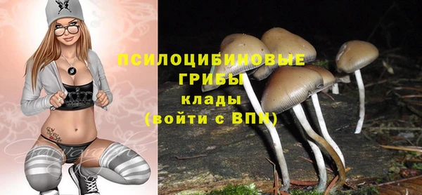 экстази Арсеньев